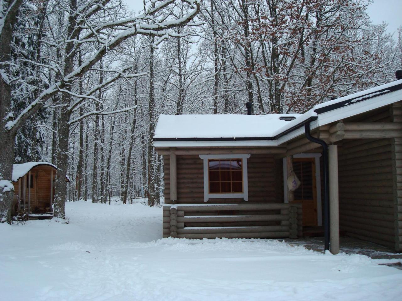 Nelijärve Holiday Centre Aegviidu Exteriör bild